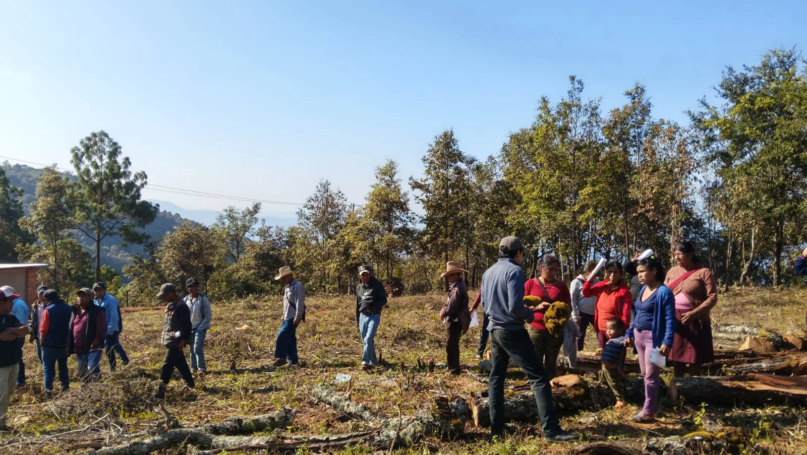 Caficultores en la sierra de Guerrero