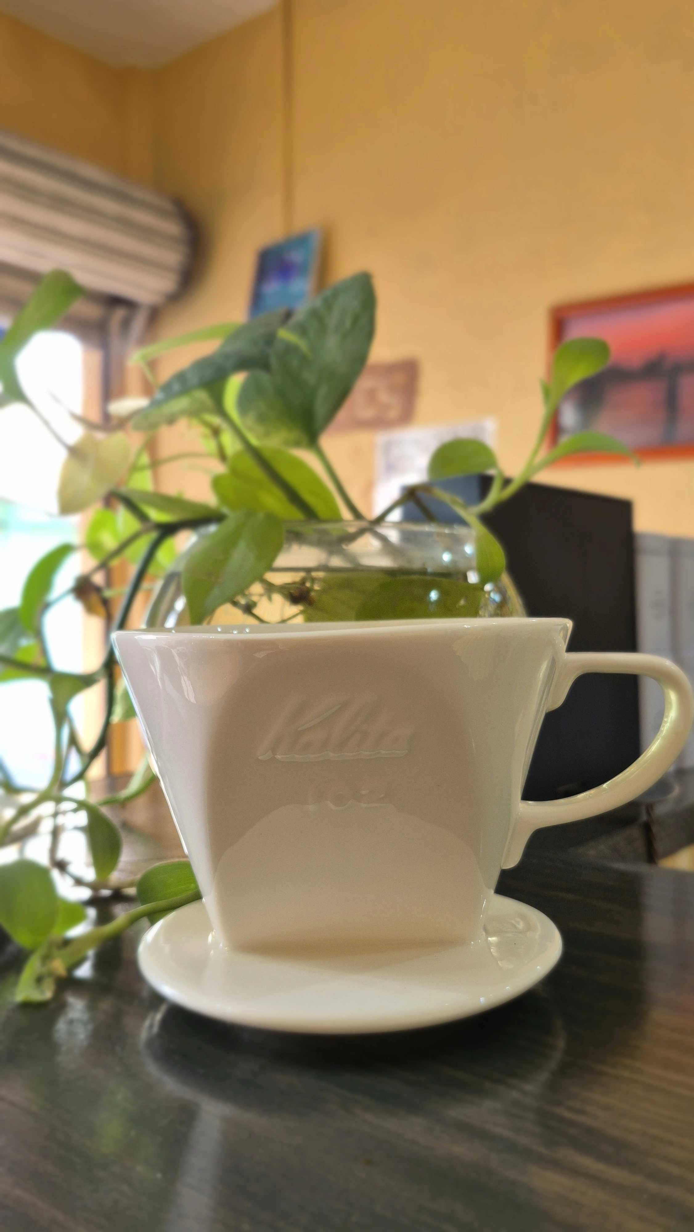 Kalita