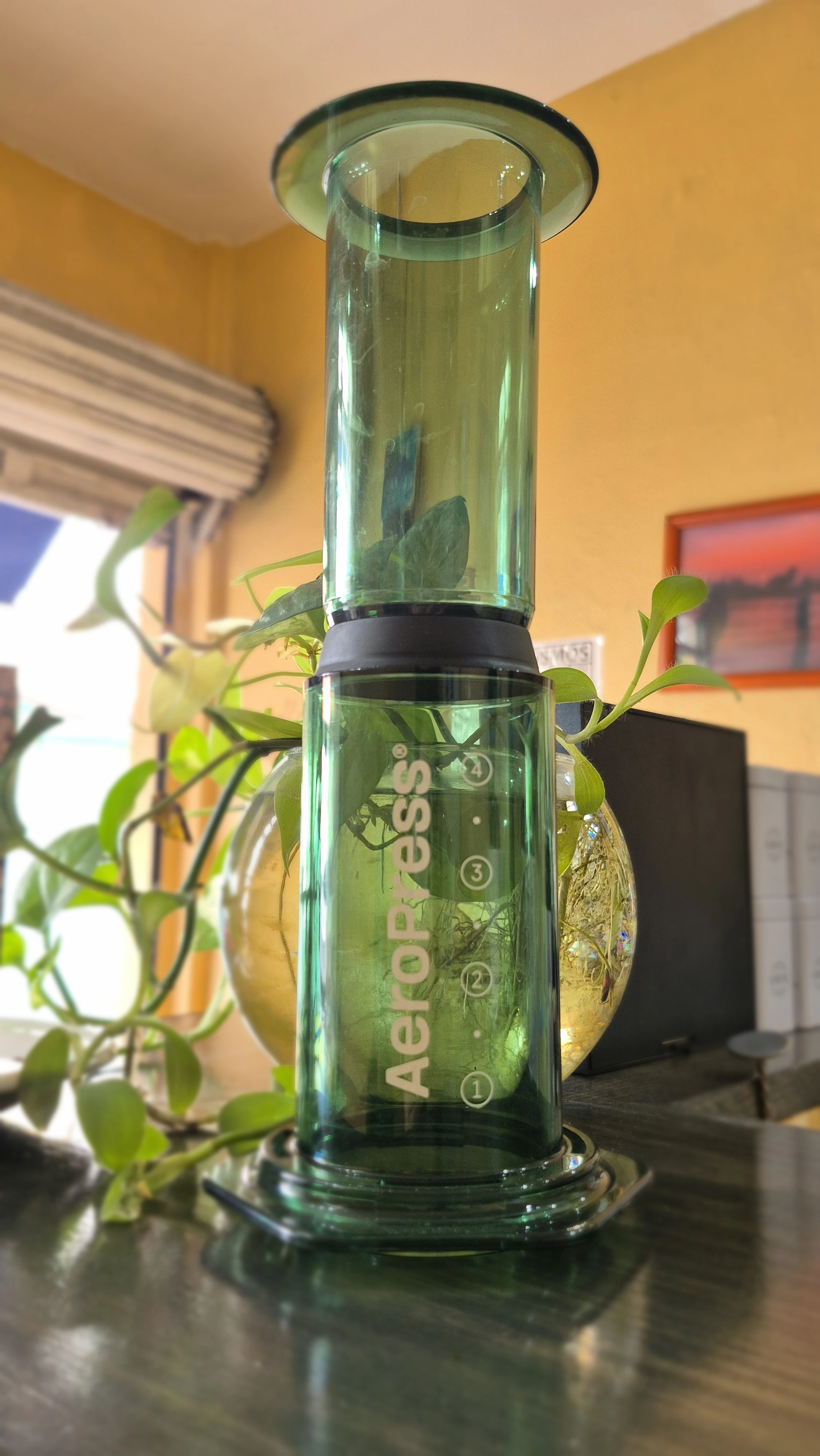 AeroPress